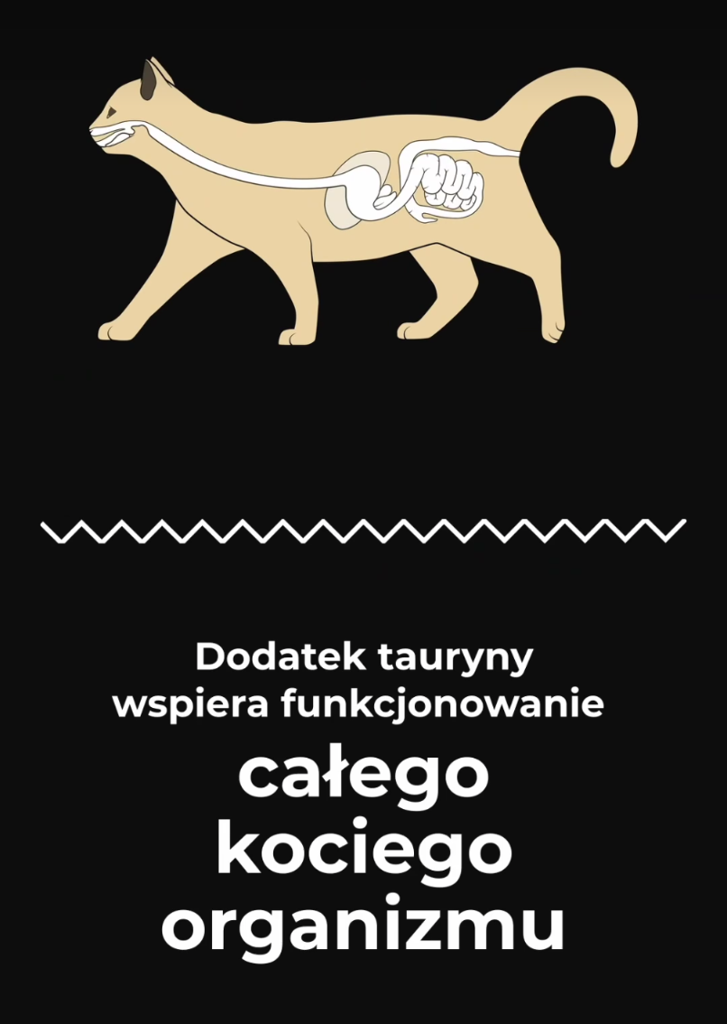 DOLINA NOTECI PREMIUM - WET CAT FOOD - RICH IN LAMB (IN SAUCE) - 185 GR CANS