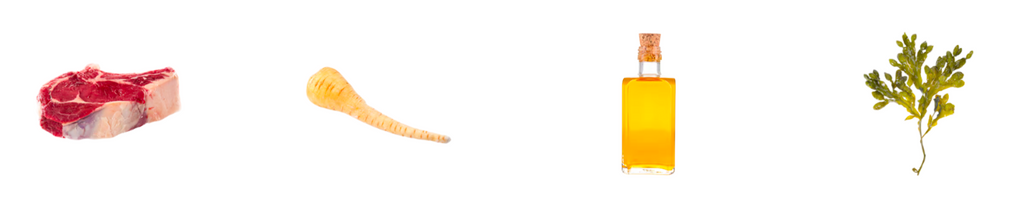 TERRA CANIS- Hypoallergenic- KANGAROO WITH PARSNIP- 800 gr