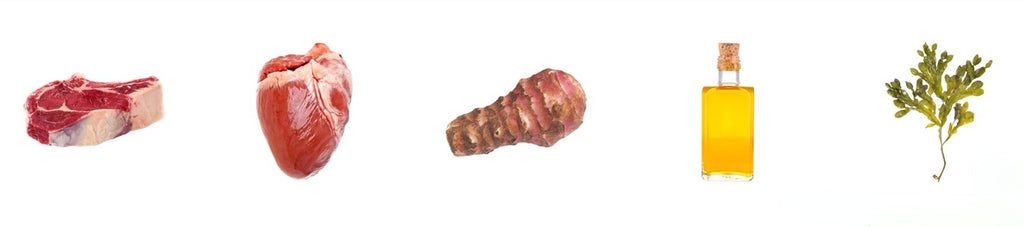 TERRA CANIS- Hypoallergenic- HORSE WITH JERUSALEM ARTICHOKE- 800 gr