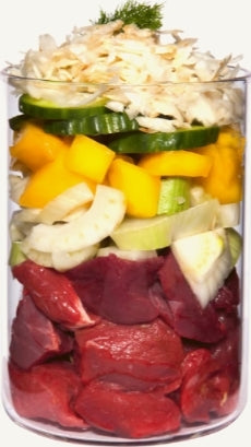 TERRA CANIS- Light- BEEF WITH PUMPKIN, MANGO & ARTICHOKE- 400 gr