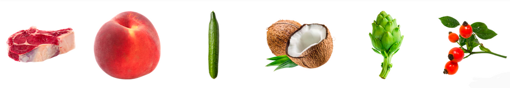 TERRA CANIS- Light- GAME WITH CUCUMBER, PEACH & DANDELION- 400 gr