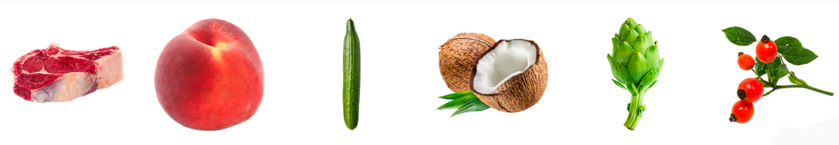 TERRA CANIS- Light- GAME WITH CUCUMBER, PEACH & DANDELION- 400 gr
