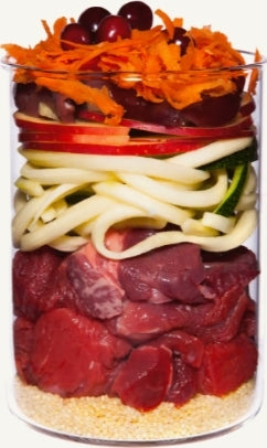 TERRA CANIS- Puppy- BEEF WITH APPLE, CARROT & ROSE HIP- 400 gr