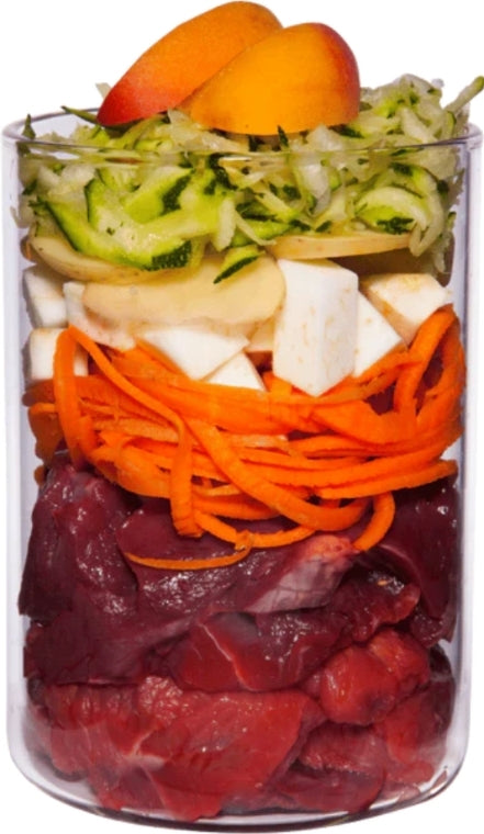TERRA CANIS- Senior- BEEF WITH CELERY, APRICOT & MEDICINAL HERBS- 400 gr
