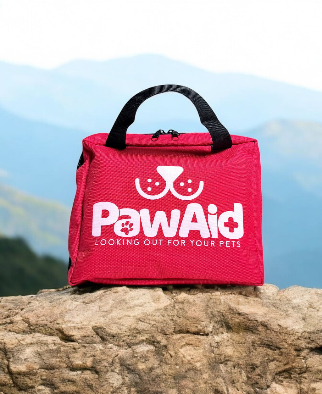 First Aid Kit for Pets
