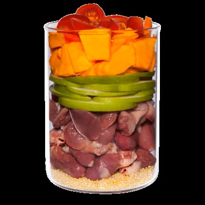 TERRA CANIS- Puppy- CHICKEN WITH PUMPKIN, CAMOMILE AND TOMATO- 400 gr